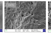 SEM - vliv teploty zesíťování hydrogelových nanovláken na jejich botnavosti ve vodě