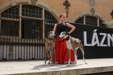 Psi galgo s baletkou v hlavní roli, v pozadí univerzita, galerie ad.