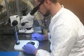 Jakub právě připravuje silikonové dvou-kanálkové zařízení, které bude později osazeno buňkami a bude tak vytvořen organ-on-chip.