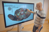 Tomáš Souček přibližuje na virtuálním pitevním stole vniřtní orgány lidského těla. Díky 3D technologii si studenti udělají dokonalou představu. Foto: Adam Pluhař, TUL