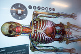 V simulátoru se dají přidávat nebo naopak odnímat jednotlivé orgány. Foto: Adam Pluhař, TUL