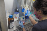 Studijní program Bioinženýrství využívá špičkově vybavené laboratoře. Foto: Adam Pluhař, TUL