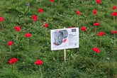 Rudé květy vlčích máků »vyrostly« v trávníku univerzitního kampusu jako připomínka Dne Válečných veteránů, který se celosvětově slaví 11. listopadu. Foto: Adam Pluhař, TUL