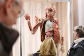 Učitelé si na fakultě zdravotnických studií prohlédli i plastinovaná těla. Foto: Adam Pluhař, TUL 