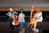 Kapela Bárka, je tvořena violoncellistou Pavlem Barnášem s harfenistkou Ivanou Pokornou, zahrála během dne oslav U3V TUL. Foto: Ibrahim Al Sulaiman