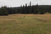 Experiment na Pralouce u Jizerky vznikl na popud Správy CHKO Jizerské hory v roce 1999. V lokalitě vědci zjišťují, jak obhospodařovat horské louky s co nejmenšími náklady. Foto: archiv Viléma Pavlů