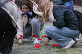 Studentky sázejí vlčí máky jako výraz úcty válečným veteránům a dalším bojovníkům za svobdu. Foto: Adam Pluhař