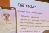 Z prezentace TailTrackeru, chytrého psího obojku a aplikace pro monitoring pohybu psa a jeho zdravotního stavu. Foto: Adam Pluhař
