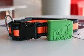 TailTracker Davida Kárníka je chytrý psí obojek a aplikace pro monitoring pohybu psa a jeho zdravotního stavu. Foto: Adam Pluhař