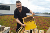 Eduard Seibert kontroluje úl na střeše univerzitrní budovy G. Foto: Adam Pluhař