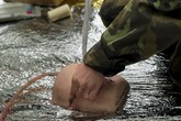 Z kurzu »Zdravotníkem aktivních záloh na zkoušku«. Foto: archiv FZS TUL