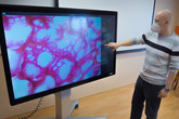 Virtuální pitevní stůl je špičkový pomocník pro výuku anatomie nebo radiologie. Na snímku předvádí Tomáš Souček, jak zařízení umí zobrazit lidskou tkáň. Foto Adam Pluhař