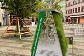 S Glassitecou spolupracuje i Statutární město Liberec. V rámci projektu PilotInnCities byl letos v libereckém centru instalován demonstrátor, který testoval využití unikátního materiálu ke zlepšení mikroklimatu ve městě. Foto: SML