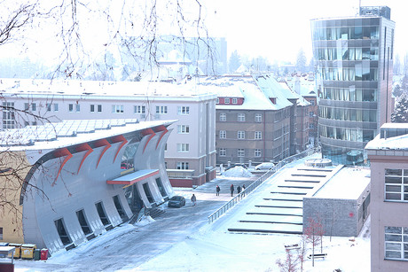 kampus na Husovce - kopie.JPG