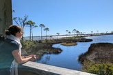 Alabama má nádherné pobřeží. Orange Beach, 5 hodin jízdy z Auburn. Foto: archiv Věry Jenčové