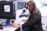Šárka Hauzerová z oddělení bioinženýrství Katedry chemie FP TUL u elektronového rastrovacího mikroskopou. Foto: Adam Pluhař