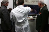 IMG_7195b.jpg