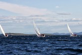 TULaMORE (15)