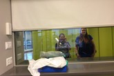 Učebna pod videodohledem (fbi sklo)