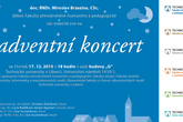 Koncert ve vánočním stylu