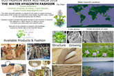 Něco o vodním hyacintu v módě